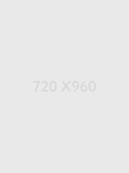 Camping Tent MH100 Black